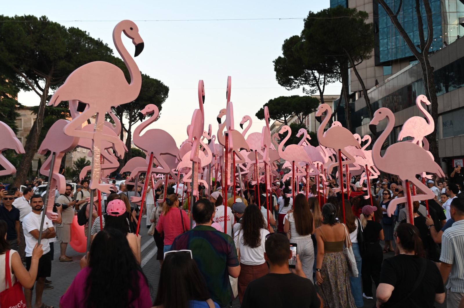 flamingo