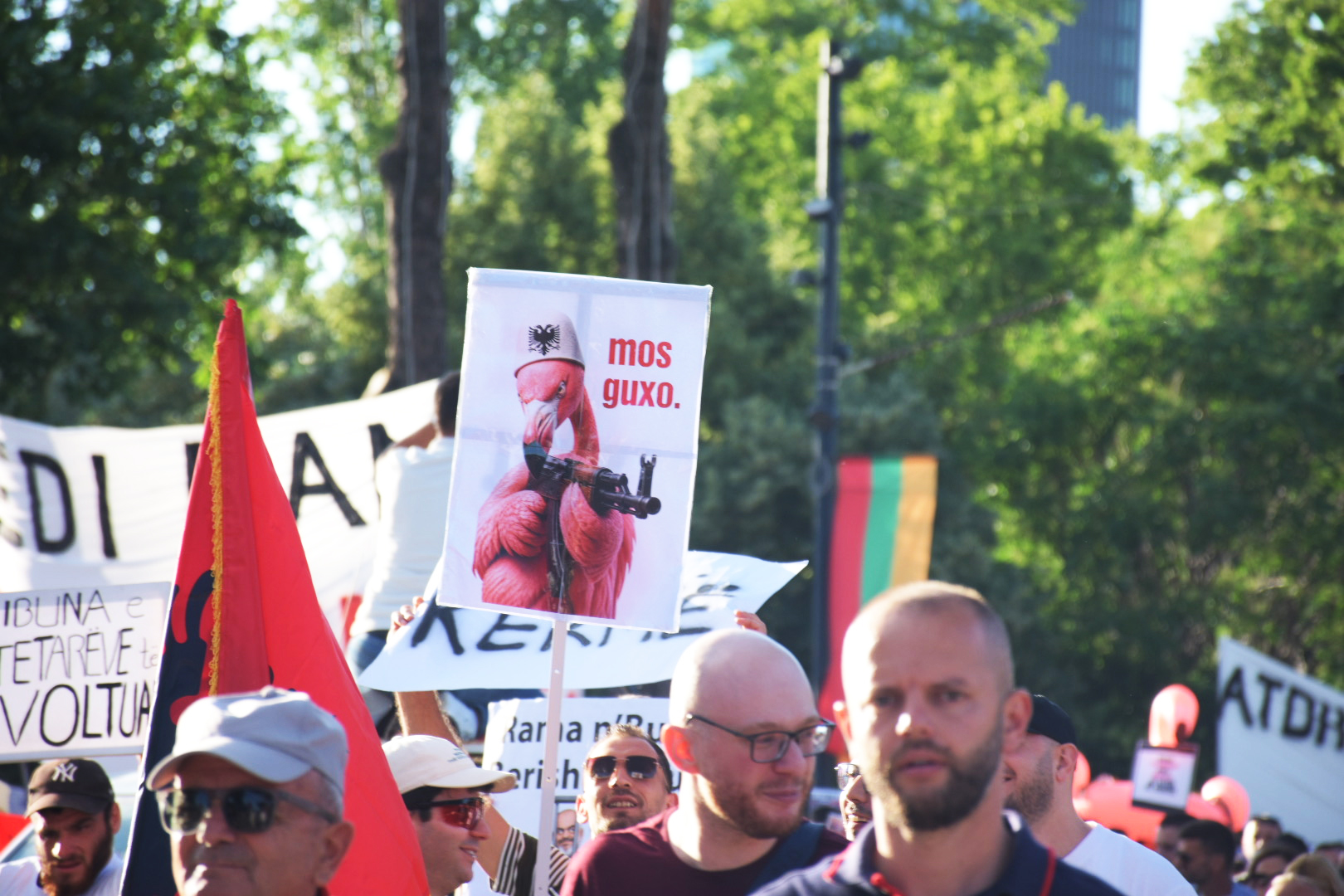 nje meme me simbolin e flamingove ne protesten kunder projektit ne zvernec. foto nensi bogdani