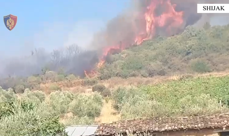 Zbardhen 2 raste zjarrvënieje në Durrës, 3 të arrestuar! U dogjën dhjetëra hektarë tokë