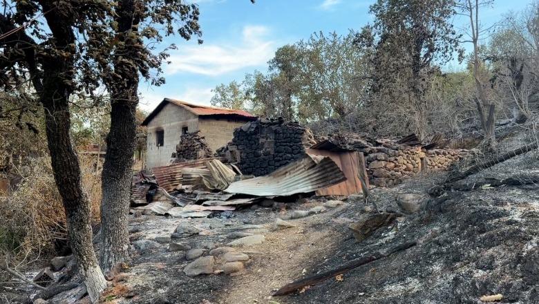 Zjarri në Ungrej të Lezhës, 10 banesa të djegura, 200 ha të shkrumbuara! Banorët kërkojnë kompensim