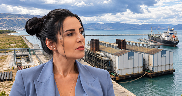 “Tigrat” e Vlorës që hanë miliona pa prodhuar energji: ERE pezullon licencën
