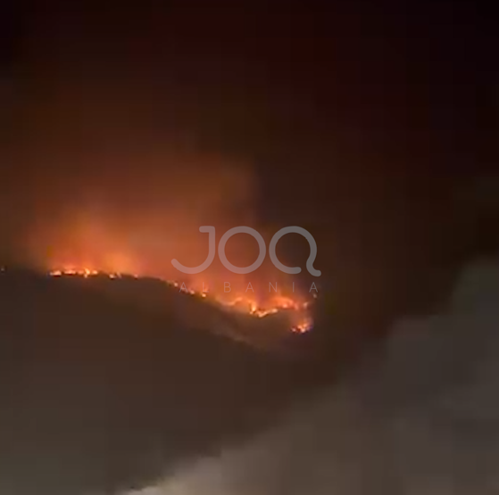 Situatë shqetësuese nga zjarri në Vaun e Dejës, era favorizon përhapjen e flakëve