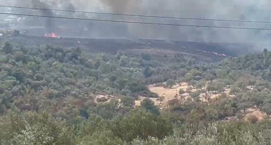 Zjarr i përmasave të mëdha në Krastë të Krujës, flakët i afrohen banesave