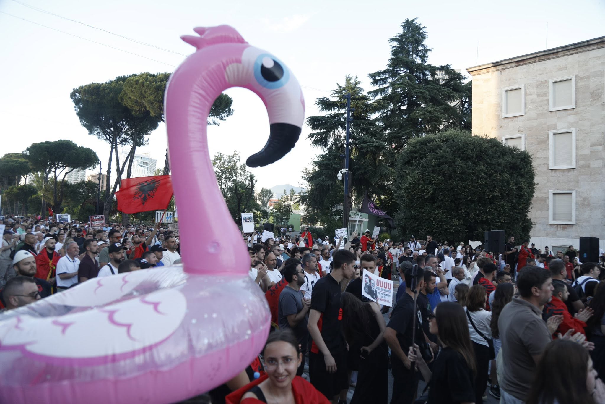 protesta e flamingove