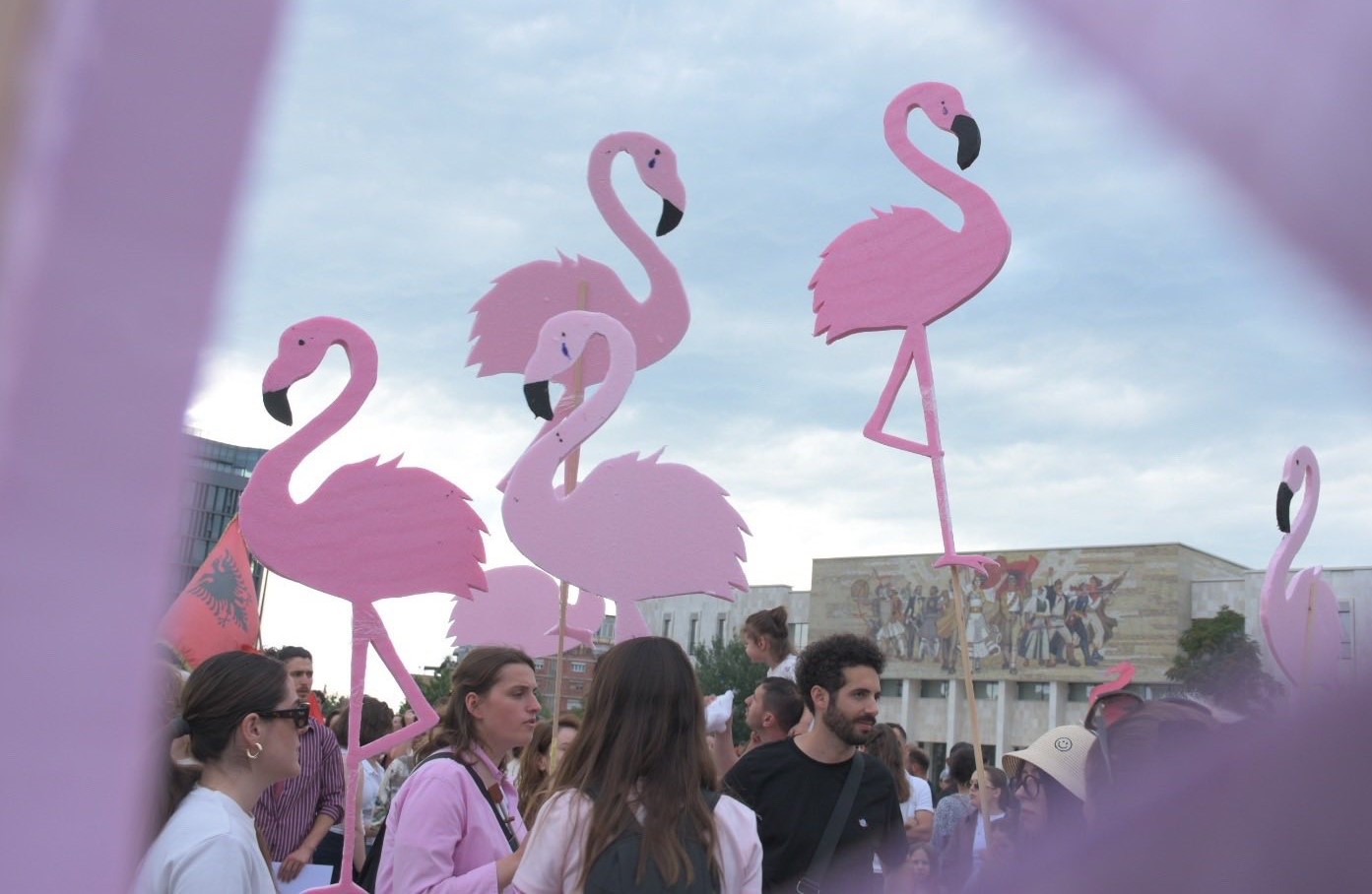 revulucioni i flamingove foto nga nensi bogdani