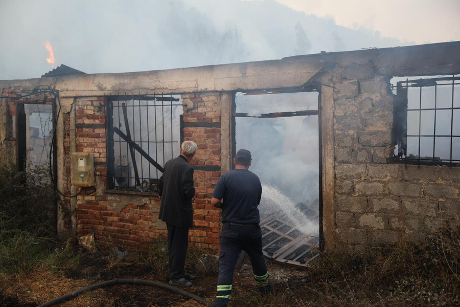 Mijëra hektarë të djegur: Sezoni i zjarreve nxjerr në pah dështimin e shtetit