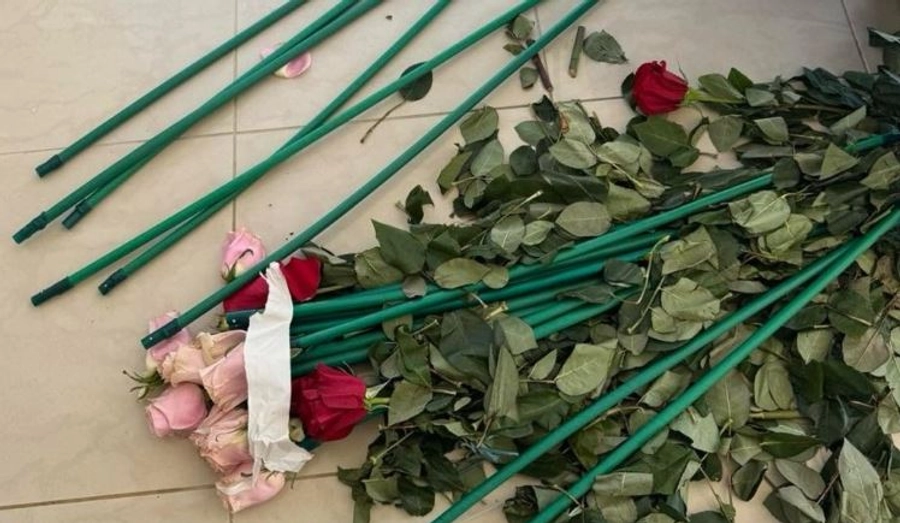 84 kg kokainë nga Kolumbia të fshehura në trëndafila, zbardhet skema! Kush është një nga shqiptarët…