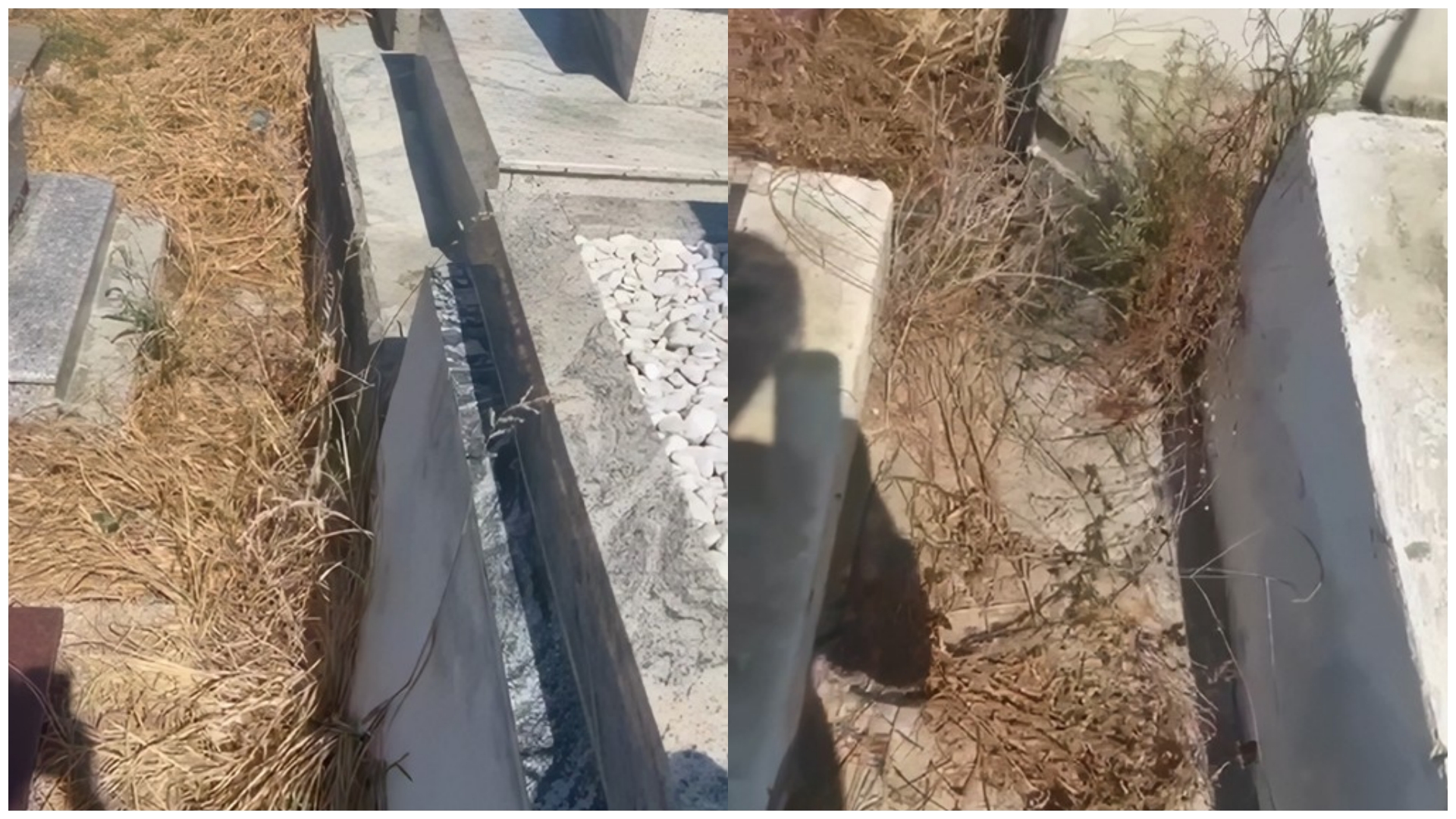 Varrezat e Sharrës mbulohen nga plehrat: “As kur vdes nuk pushon në paqe!”