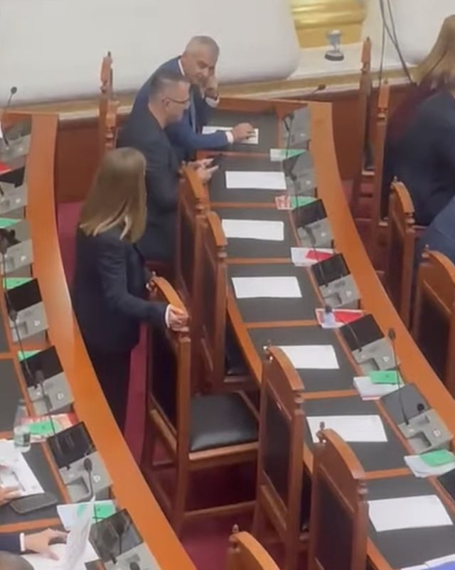 FOTO: Marjana Koçeku iu bashkohet deputetëve të Sali Berishës