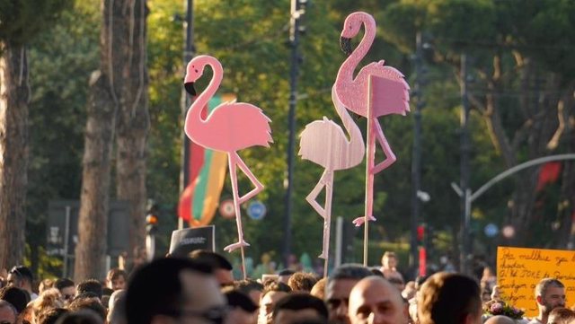 Flamingot e hershme të Shtëpisë së Verdhë