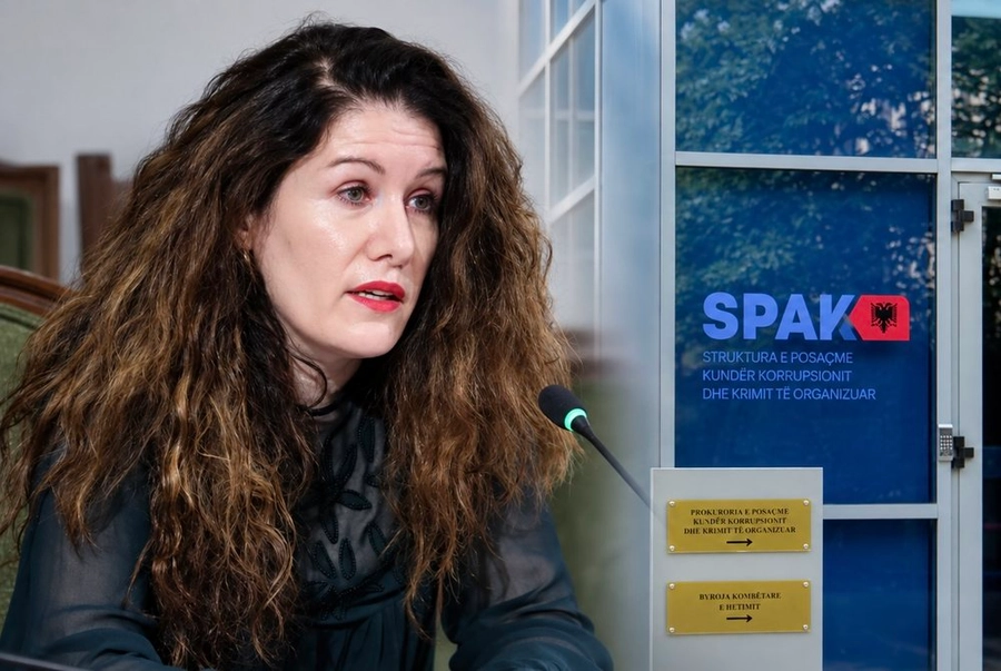 Arrestimi i Vlora Hysenit/ AFP: Skandali i fundit që godet Ramën, i cili po përballet me protesta prej muajsh