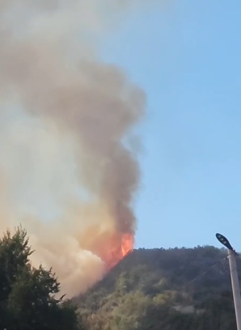 Zjarr në një zonë të pyllëzuar në Ndroq, flakët përhapen me shpejtësi