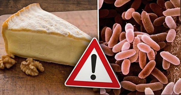 Zbardhet lista: 44 restorantet ku u tregtua djathi “Brie” me bakterin e rrezikshëm Listeria