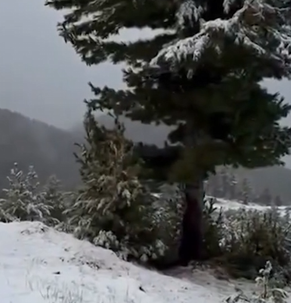 Bora zbardh bjeshkët e Tropojës që në shtator