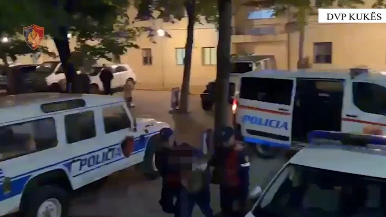Tre operacione policore në 24 orë në Kukës, 3 në pranga, sekuestrohen armë dhe kanabis