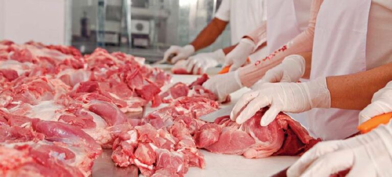 Ndalimi i mishit brazilian, çmimet mund të rriten deri në 40%: Filetoja e pulës mund të arrijë 450 lekë/kg me shumicë