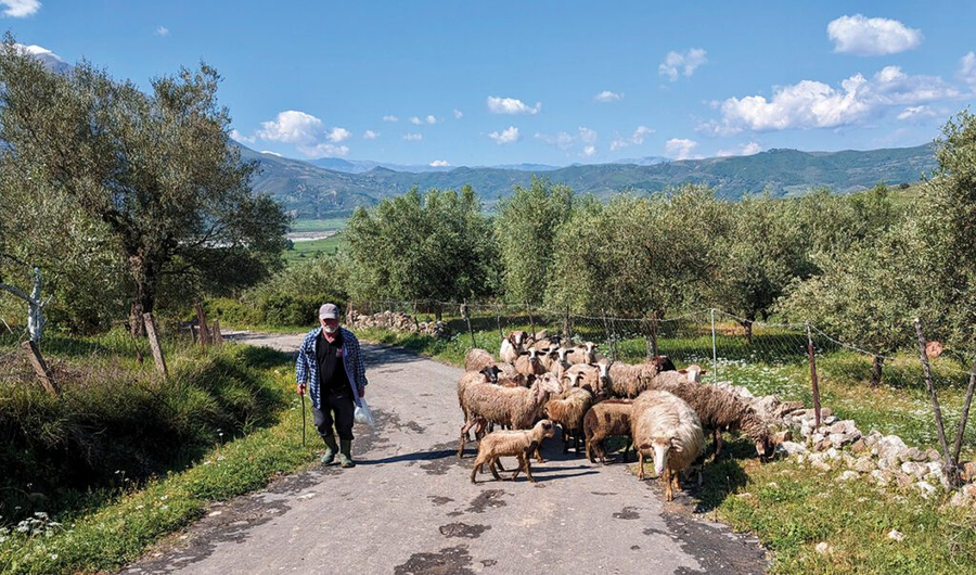 Blegtorët në vështirësi pa ndihmë nga shteti, i drejtohen qeverisë me 7 kërkesa - Nga akciza, nafta ...