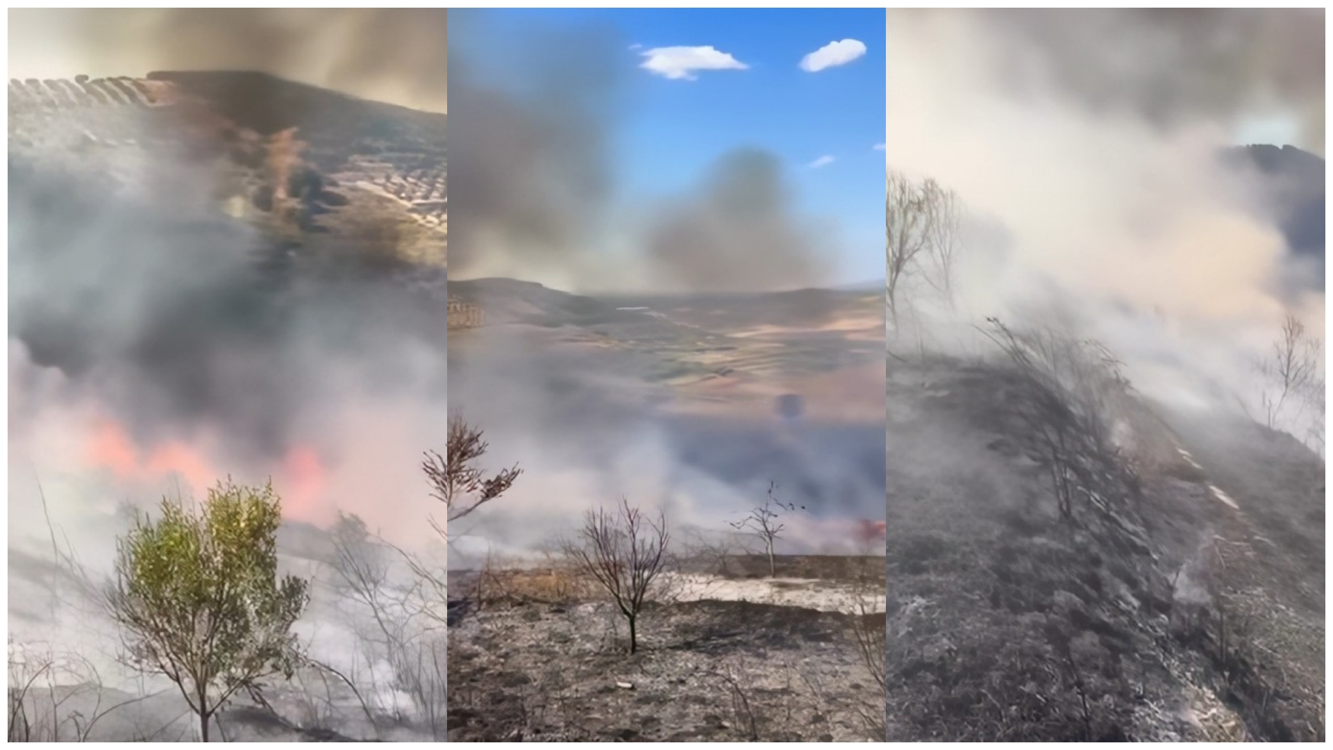 Zjarr i madh në Kutalli të Dimalit, flakët përfshijnë një zonë me bimësi