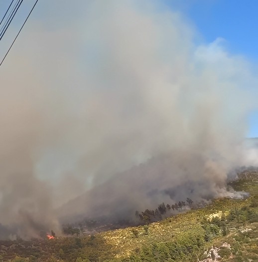 Manatia në flakë që prej mbrëmjes së djeshme, zjarri ende jashtë kontrollit
