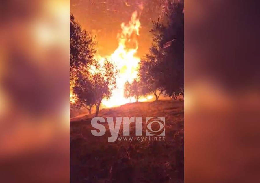 Zjarri vijon edhe mëngjesin e sotëm në Peqin, flakët kanë përfshirë sipërfaqe me ullinj dhe bimësi