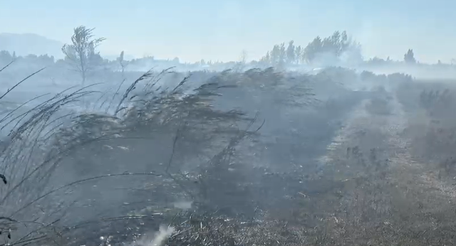 Përshkallëzohet zjarri në Lezhë, flakët përfshijnë sipërfaqe të gjera bujqësore