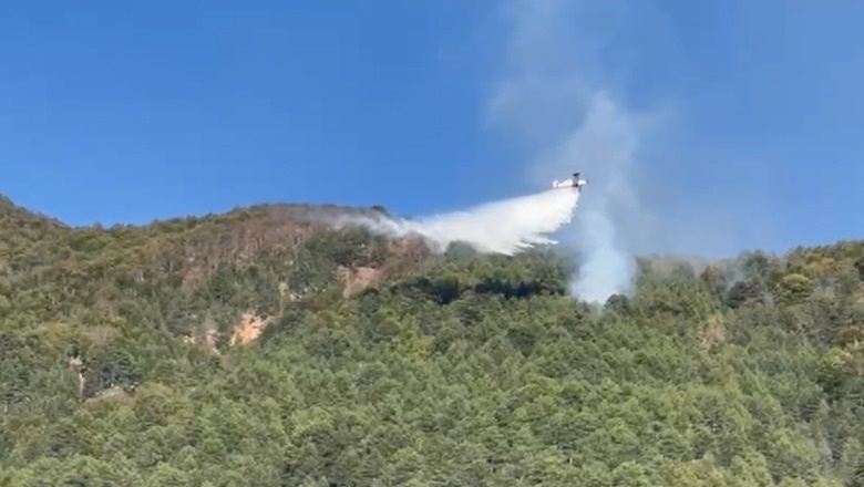 Zjarri në Gjinar të Elbasanit, avioni 'Air Tractor' nis aksionin për shuarjen e flakëve