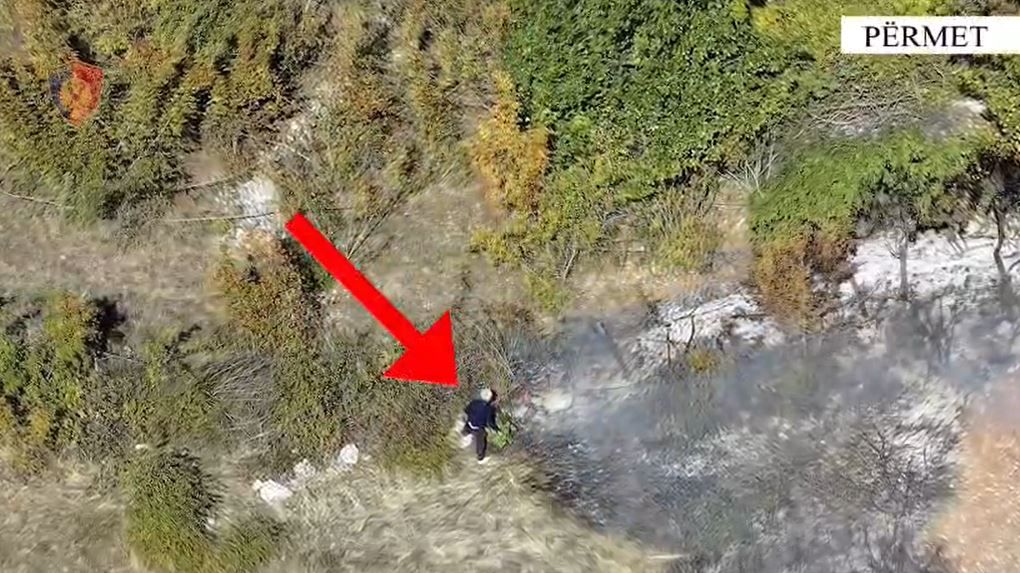 Arrestohet në flagrancë autori i zjarrvënies në fshatin Leus, dogji një sipërfaqe pyjore e konsiderueshme
