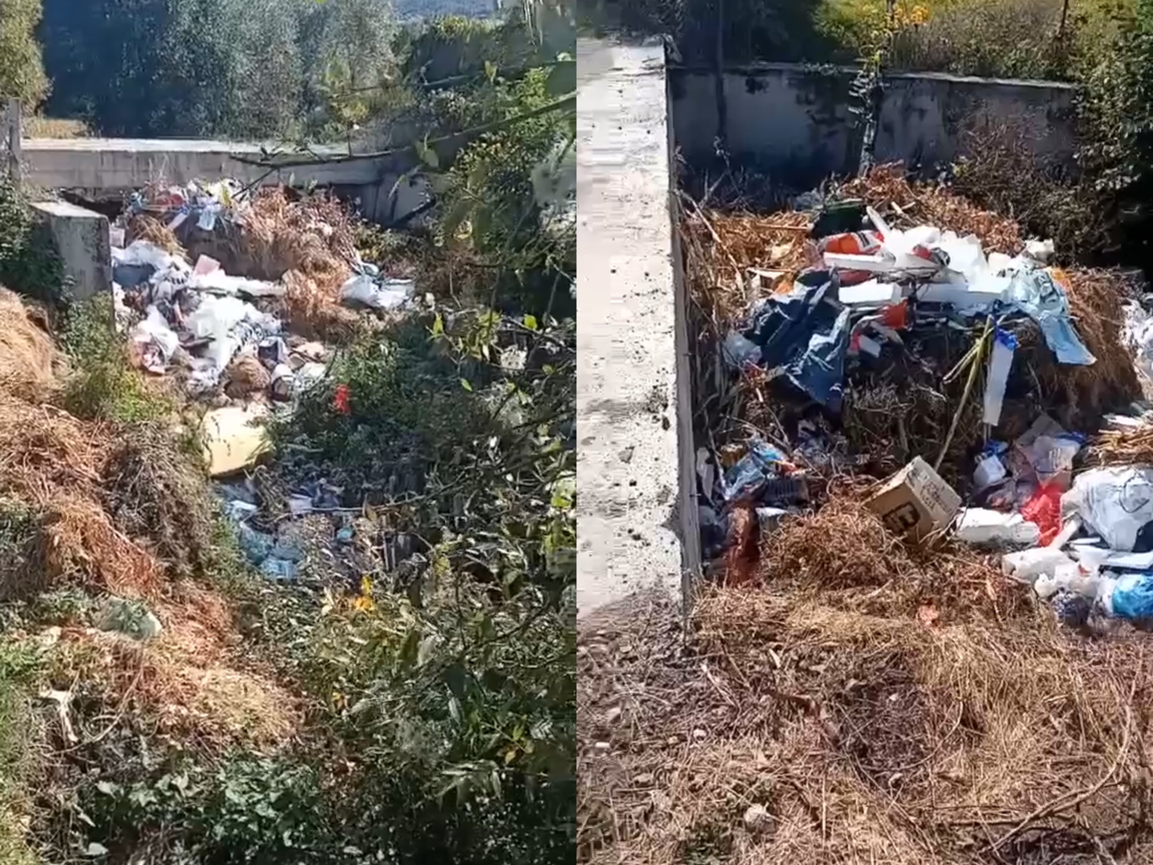 “Lumi Krumë po mbytet nga mbeturinat”, hasjanët të shqetësuar për ndotjen dhe bagëtitë