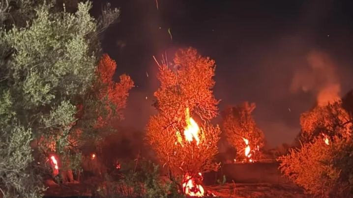 Zjarri përfshin fshatin Bestrovë në Vlorë, tre vatra aktive dhe dëme në ullinj