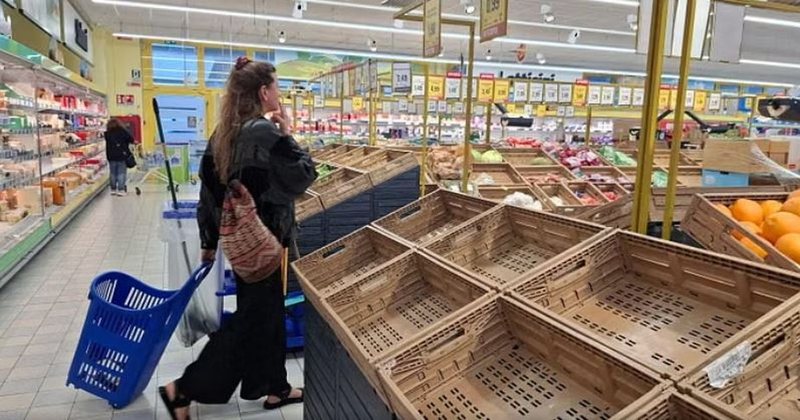 Rafte bosh dhe çmime marramendëse në Itali, domatet importohen nga Shqipëria