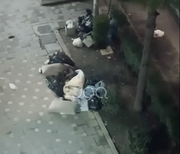 Pamje të trishta nga Lezha: I pastrehu shtrihet në trotuar dhe luan me një qen endacak