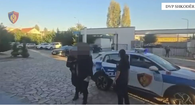 Goditet grupi kriminal i drogës në Shkodër, sekuestrohen 265 kg kanabis. 4 të arrestuar dhe 3 në kërkim