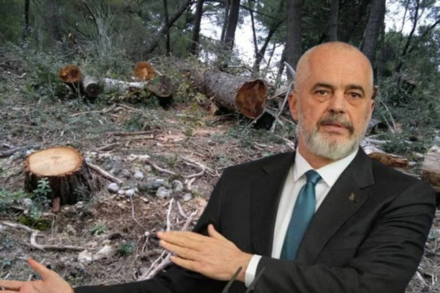 Degradimi i natyrës/ Raporti i OKB: 100 mijë hektarë pyje në Shqipëri 'u zhdukën'